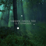 Ambuhl, Fabienne -Trio- - Glitterwoods