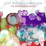 Birmingham Seven - Just Passing Through