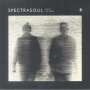 Spectrasoul - Delay No More