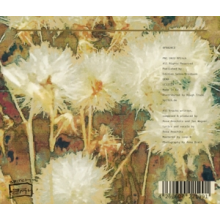 Anschutz, Rosa - Goldener Strom