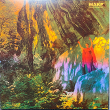 Wake - Thought Form Descent