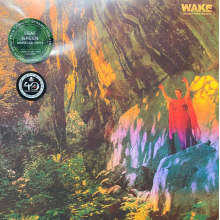 Wake - Thought Form Descent