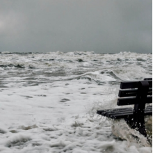 Leimer, K. - The Starting Errors