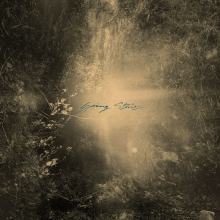 Mondkopf - Spring Stories