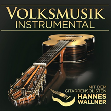 V/A - Volksmusik Instrumental