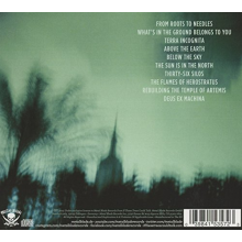 If These Trees Could Talk - Above the Earth, Below the Sky
