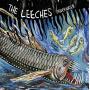 Leeches - Underwater