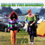 V/A - High In the Morning - British Progressive Pop Sounds of 1973