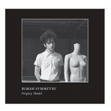 Harsh Symmetry - Display Model