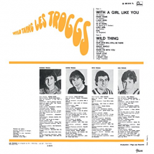 Troggs, the - Wild Thing