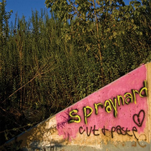 Spraynard - Cut and Paste