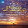 Thirteen Strings Chamber Orchestra - John Burge: Sinfonia Antiqua