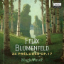 Viner, Mark - Felix Blumenfeld: 24 Preludes Op. 17
