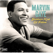 Gaye, Marvin - Stubborn Kind of Fellow