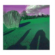 Legendary Pink Dots, the - Came Out From the Shadows Vol. 5