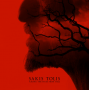 Tolis, Sakis - Among the Fires of Hell