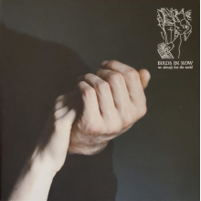 Birds In Row - We Already Lost the World