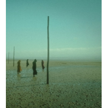 Devil's Witches - In All Her Forms