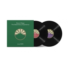 Hillage, Steve - Glastonbury Experience (Live 1979)