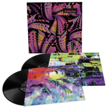 Bitchin Bajas - Bajascillators