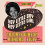 Gibson, Dolores A.O. - Hey Little Boy, Hey Little Girl 1949-1962