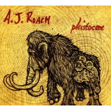 Roach, A.J. - Pleitstocene