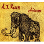 Roach, A.J. - Pleitstocene