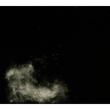 Fink - Horizontalism