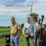Hofman, Remco Trio - Blue Summer Notes