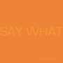 Say What - Say What