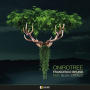 Bruno, Francesco - Onirotree