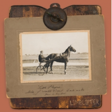 Limblifter - Little Payne