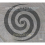 Brachfeld, Andrea - Evolution