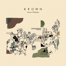 Sweet William - Brown