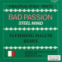 Steel Mind - Bad Passion