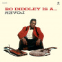 Diddley, Bo - Is a Lover