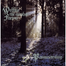 Paramaecium - Within the Ancient Forest