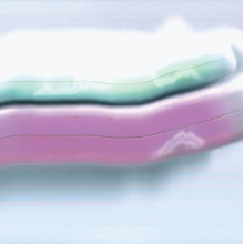 O'Mahony, Michael - Talkbox