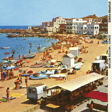 Stuffed Foxes - Songs/Motion Return