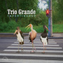 Trio Grande - Impertinence