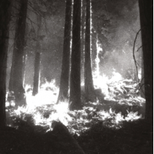 Den Sorte Dod - Undergangen