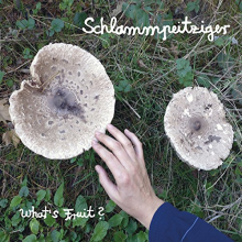 Schlammpeitziger - What's Fruit