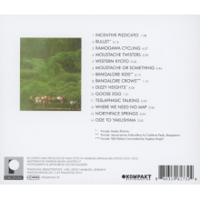 Springintgut - Where We Need No Map