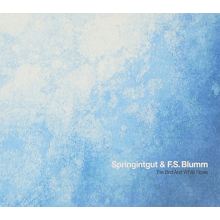 Springintgut - Bird & White Noise