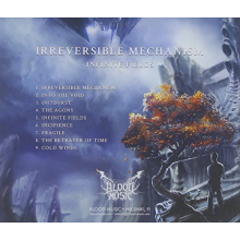 Irreversible Mechanism - Infinite Fields