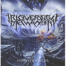 Irreversible Mechanism - Infinite Fields