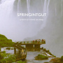 Springintgut - Where We Need No Map