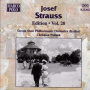 Strauss, Josef - Edition Vol. 20
