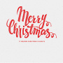 V/A - Merry Christmas - 17 Christmas Classics