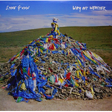 Gunn, Steve - Way Out Weather